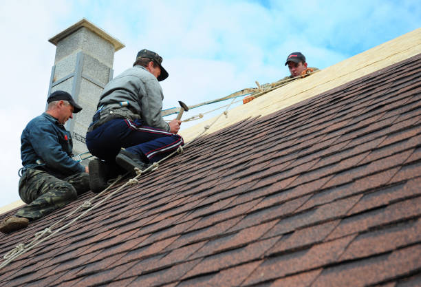 Best Storm Damage Roof Repair  in Southside, AR